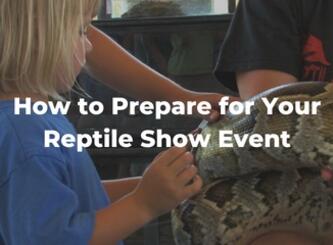 How to Prepare for Your Reptile Show Event