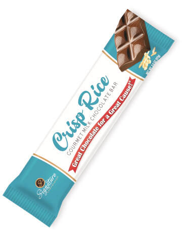 Wrapped Crisp Rice Bar