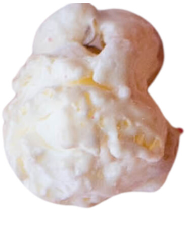 White Vanilla Popcorn Kernel