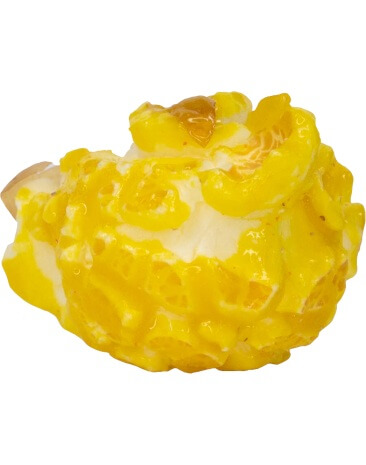 Yellow Vanilla Popcorn Kernel
