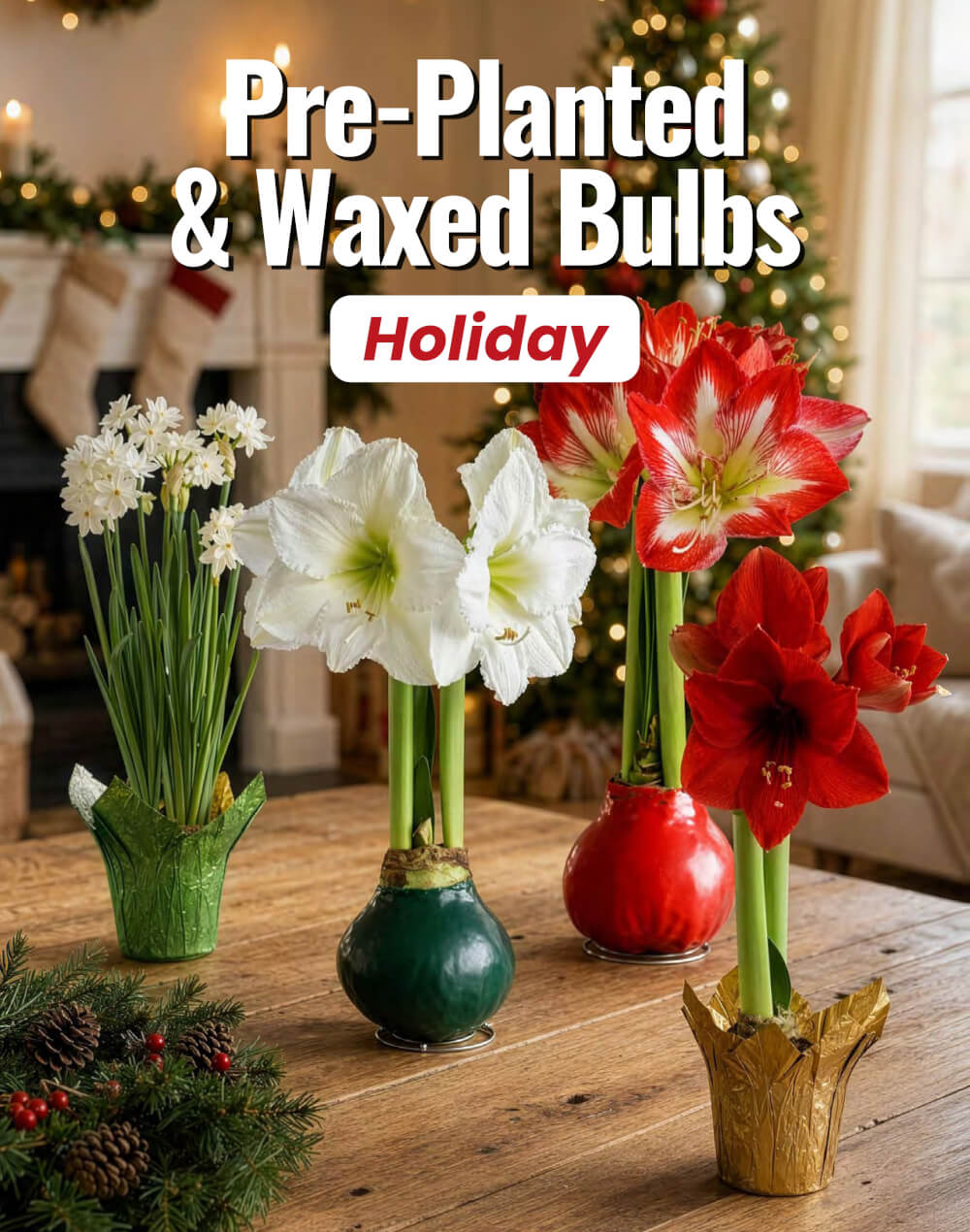 Holiday Flowers Catalog Fundraiser