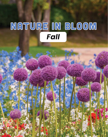 Nature In Bloom Fall Flower Catalog Fundraiser