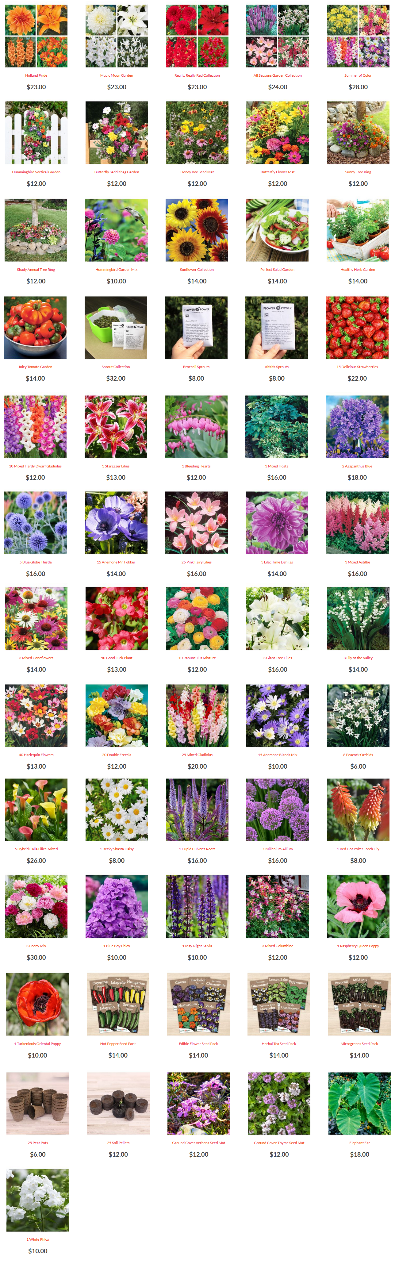 Spring Flowers Online Store Products
