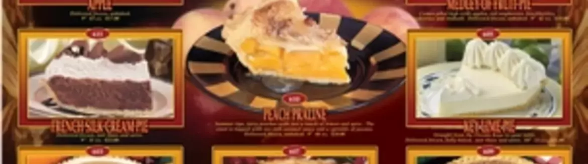 pies-in-fundraising-brochure.png pies-in-fundraising-brochure.png