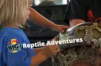 Big Event Reptile Adventures YouTube Image Thumbnail