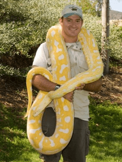 ben-rogers-reptile-expert.png ben-rogers-reptile-expert.png