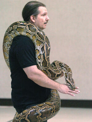 bill-boesenberg-reptile-expert.jpg bill-boesenberg-reptile-expert.jpg