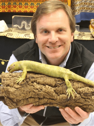 chris-evers-reptile-expert.png chris-evers-reptile-expert.png