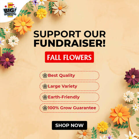 Fall Flowers-Facebook