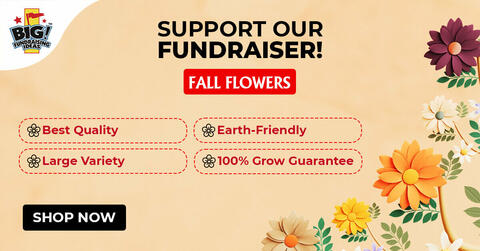 Fall Flowers-LinkedIn