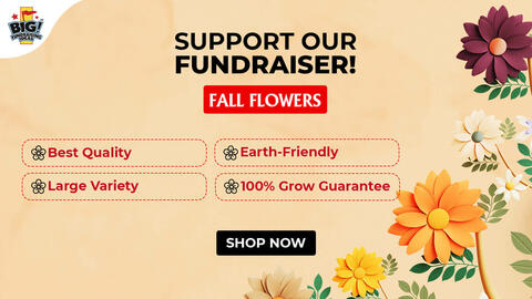 Fall Flowers-Twitter
