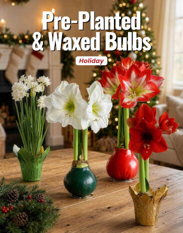 Holiday Flowers Catalog Fundraiser