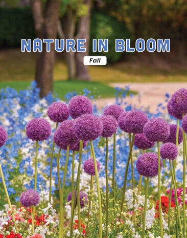 Nature In Bloom Fall Flower Catalog Fundraiser