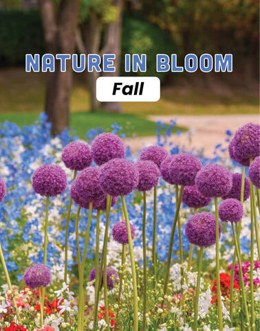 Nature In Bloom Fall Flower Catalog Fundraiser
