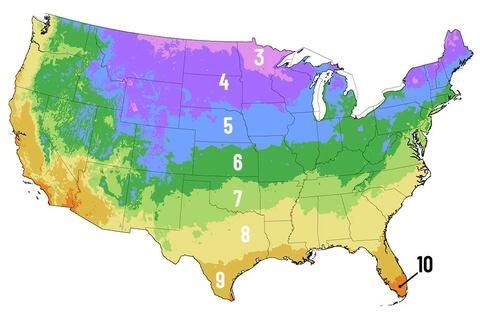 plant-hardiness-zone-map.jpg plant-hardiness-zone-map.jpg