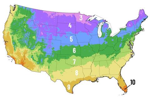 plant-hardiness-zone-map.jpg