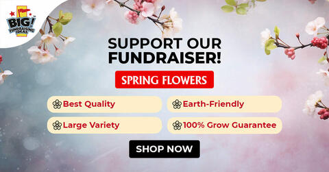 Spring Flowers-LinkedIn