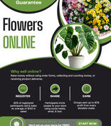 Flowers Online Fundraiser