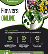 Flowers Online Fundraiser