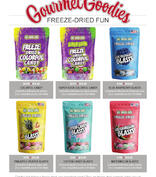 Freeze-Dried Fun Candy Fundraising Brochure