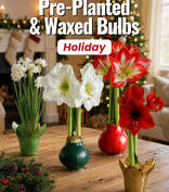 Holiday Flowers Catalog Fundraiser