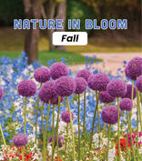 Nature In Bloom Fall Flower Catalog Fundraiser