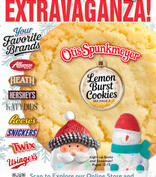 Otis Extravaganza Fundraiser Brochure