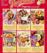 Popcornopolis Fundraising Brochure