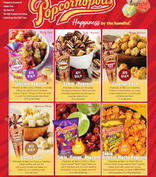 Popcornopolis Fundraising Brochure