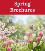 Spring Brochures