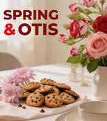 Spring Otis Fundraiser Brochure