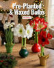 Holiday Flowers Catalog Fundraiser