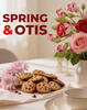 Spring Otis Fundraiser Brochure