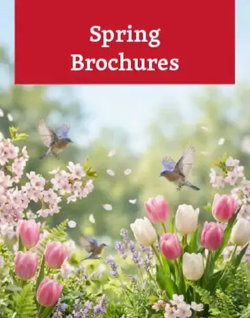Spring Brochures