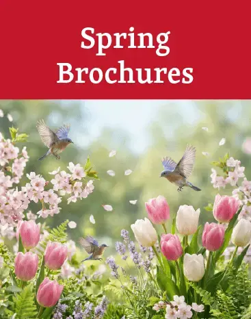 Spring Brochures